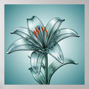 Beautiful Glass Lily Poster