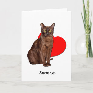 Beautiful Golden Burmese Cat Moggy Heart Love Card