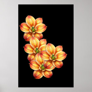 Beautiful Golden Lily Poster