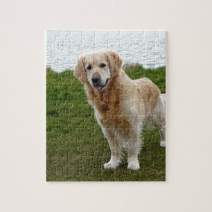 Beautiful Golden Retriever Dog Standing Jigsaw Puzzle