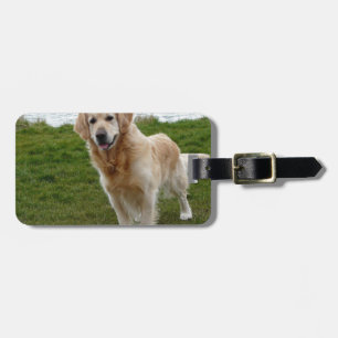 Beautiful Golden Retriever Dog Standing Luggage Tag