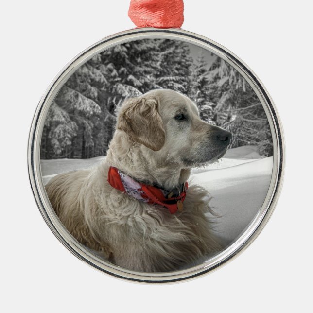 Beautiful Golden Retriever in snow Metal Tree Decoration (Front)