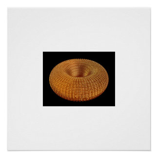 Beautiful Golden Torus Poster