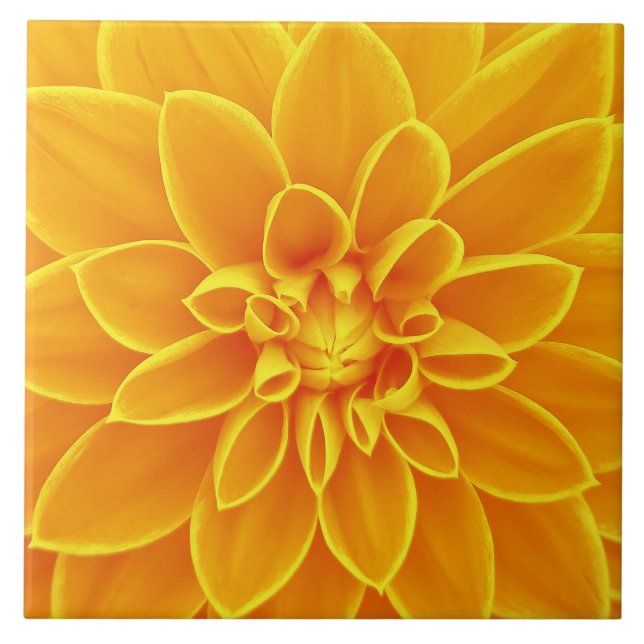 beautiful golden yellow dahlia flower colourful ceramic tile (Front)