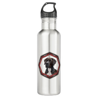 Beautiful Great Dane In A Frame 710 Ml Water Bottle