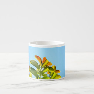 beautiful green and orange plant hugging a clear espresso cup