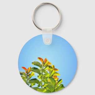 beautiful green and orange plant hugging a clear key ring