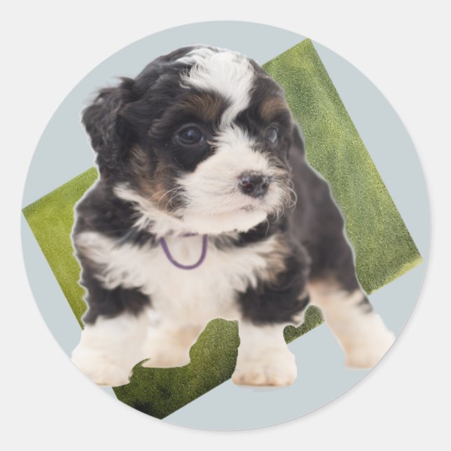 Beautiful Green Bernedoodle Puppy Art  Classic Round Sticker (Front)