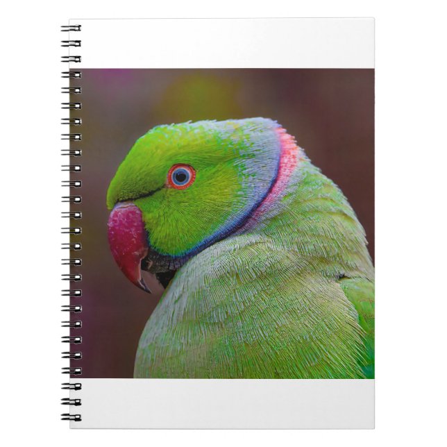 Beautiful Green Bird Notebook (Front)