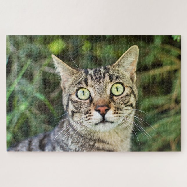 Beautiful green-eyed tabby cat close-up jigsaw puzzle (Horizontal)