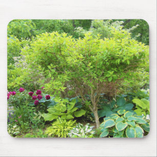 Beautiful Green Garden Landscape with Hostas Mouse Pad