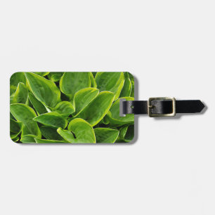 Beautiful green hosta plant luggage tag