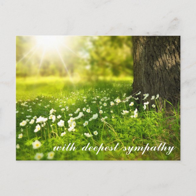 Beautiful Green Valley with White Flowers Sympathy Postcard (Front)