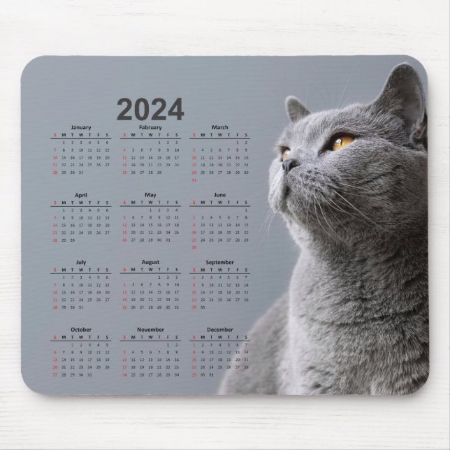 Beautiful Grey Cat 2024 Calendar Mouse Pad (Front)