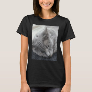 Beautiful Grey Cat Sleeping Photograph T-Shirt