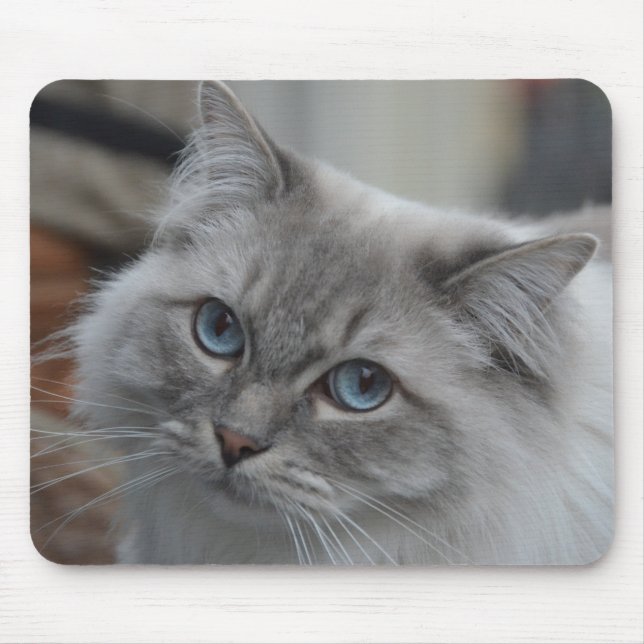 Beautiful Grey Cat with Blue Eyes Mouse Pad (Front)