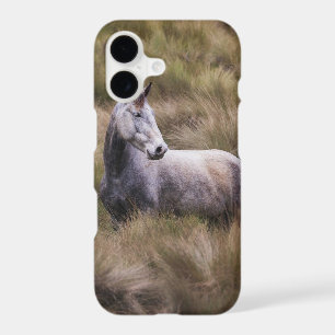 Beautiful Grey Coloured Horse