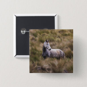 Beautiful Grey Coloured Horse 15 Cm Square Badge