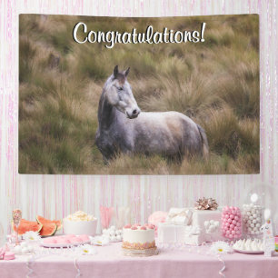 Beautiful Grey Coloured Horse Add Text  Banner