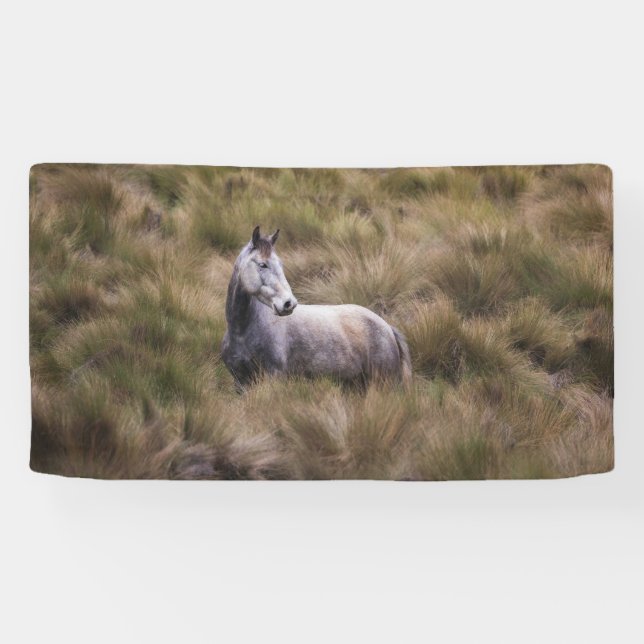 Beautiful Grey Coloured Horse Banner (Horizontal)