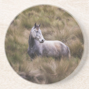 Beautiful Grey Coloured Horse Coaster