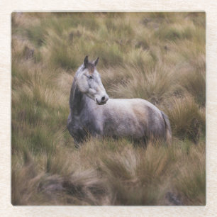 Beautiful Grey Coloured Horse Glass Coaster