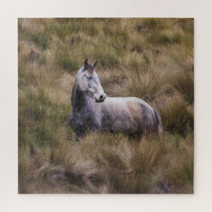 Beautiful Grey Coloured Horse Jigsaw Puzzle