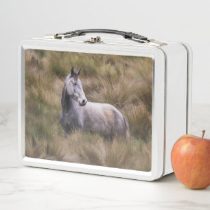 Beautiful Grey Coloured Horse Metal Lunch Box