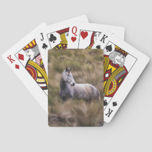 Beautiful Grey Coloured Horse Playing Cards
