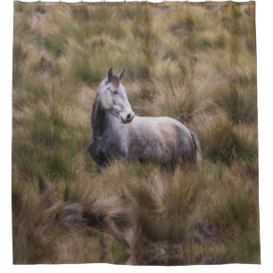 Beautiful Grey Coloured Horse Shower Curtain