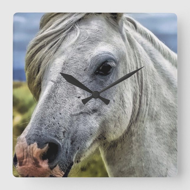 Beautiful grey horse clock (Front)