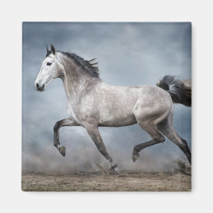 Beautiful Grey Horse Dramatic Sky Sandy Landscape Magnet