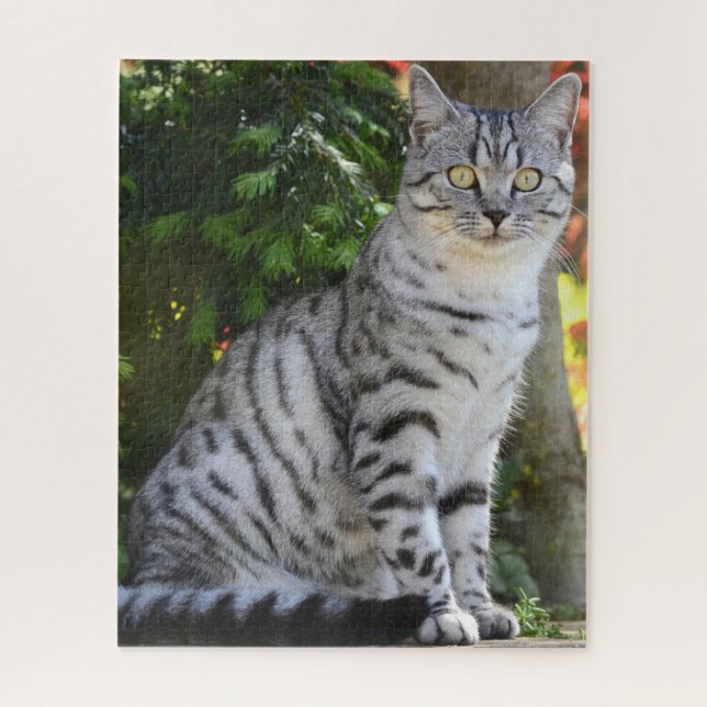 Beautiful Grey Tabby Cat Jigsaw Puzzle (Vertical)