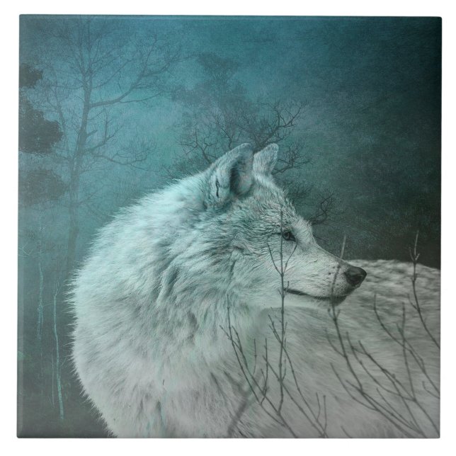 Beautiful Grey Wolf in a Dark Forest Ceramic Tile (Front)