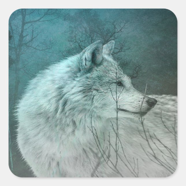 Beautiful Grey Wolf in a Dark Forest Square Sticker (Front)