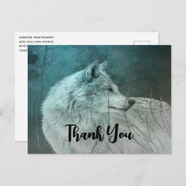 Beautiful Grey Wolf in a Dark Forest Thank You Postcard (Front/Back)