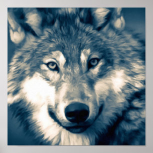 Beautiful Grey Wolf Woodland Animal  Poster