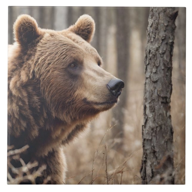 Beautiful Grizzly Bear Portrait Brown Bear 3a Ceramic Tile (Front)