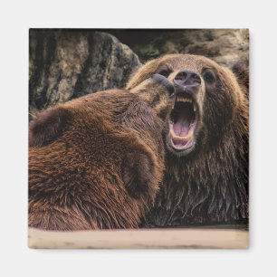 Beautiful Grizzly Bears Magnet
