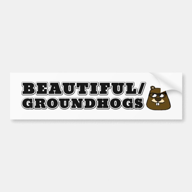 Beautiful/Groundhogs Bumper Sticker (Front)