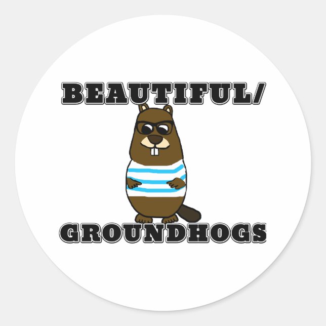 Beautiful/Groundhogs Classic Round Sticker (Front)