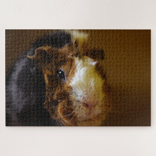 Beautiful Guinea Pig, Jigsaw Puzzle (Horizontal)