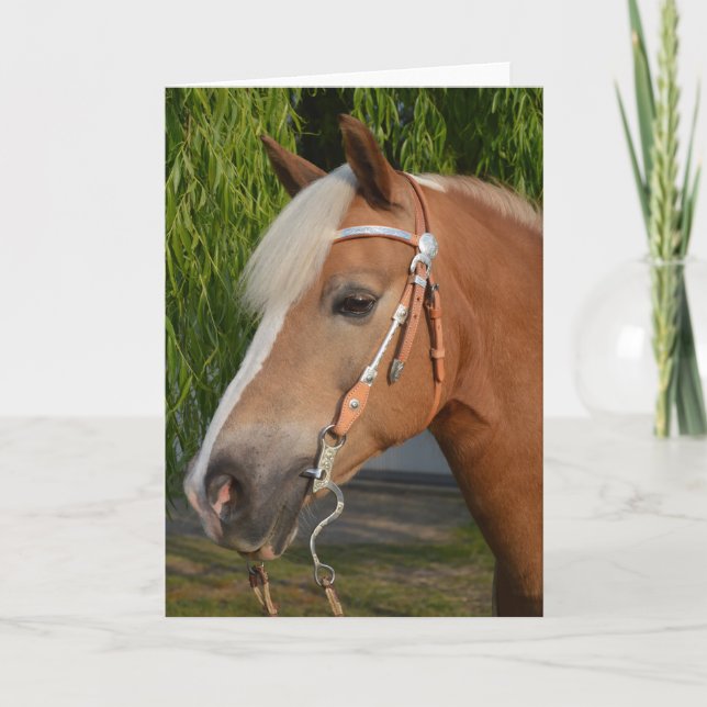 Beautiful haflinger horse portrait card (Front)