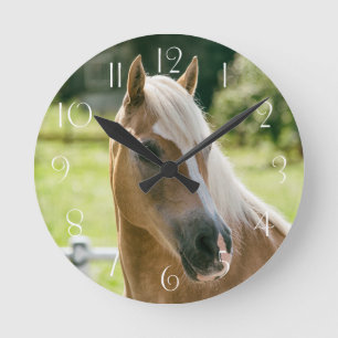 Beautiful haflinger horse portrait round clock