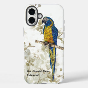 Beautiful Hand-painted Endangered Bird(Macaw) iPhone 16 Plus Case