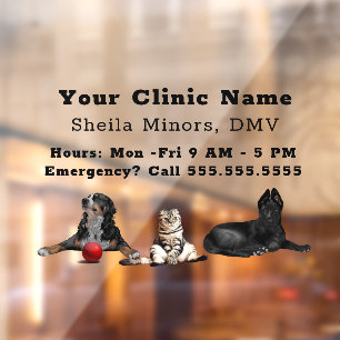 Beautiful Happy Dogs and Cat Veterinarian Window C