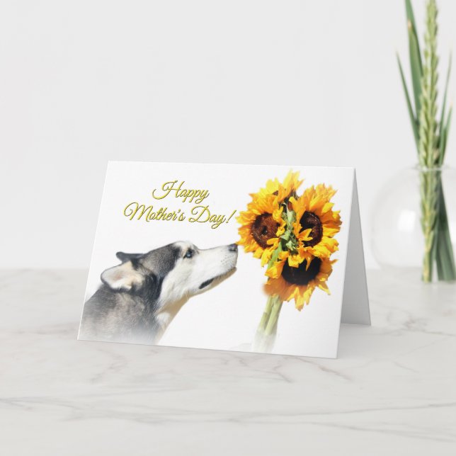 Beautiful Happy Mother's Day Husky and Sunflower Card (Front)