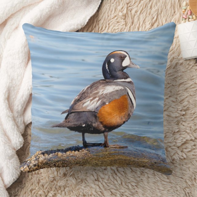 Beautiful Harlequin Duck on Beach Shoreline Cushion (Blanket)