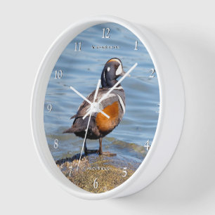 Beautiful Harlequin Duck on Beach Shores Clock