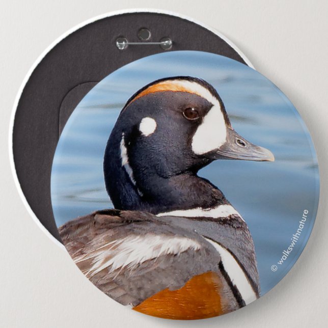 Beautiful Harlequin Duck on the Rock 6 Cm Round Badge (Front & Back)